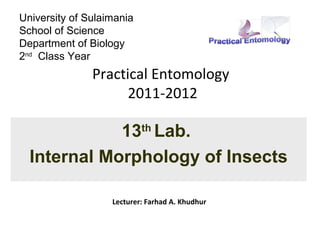 University of Sulaimania
School of Science
Department of Biology
2nd Class Year
               Practical Entomology
                     2011-2012

             13th Lab.
  Internal Morphology of Insects

                   Lecturer: Farhad A. Khudhur
 