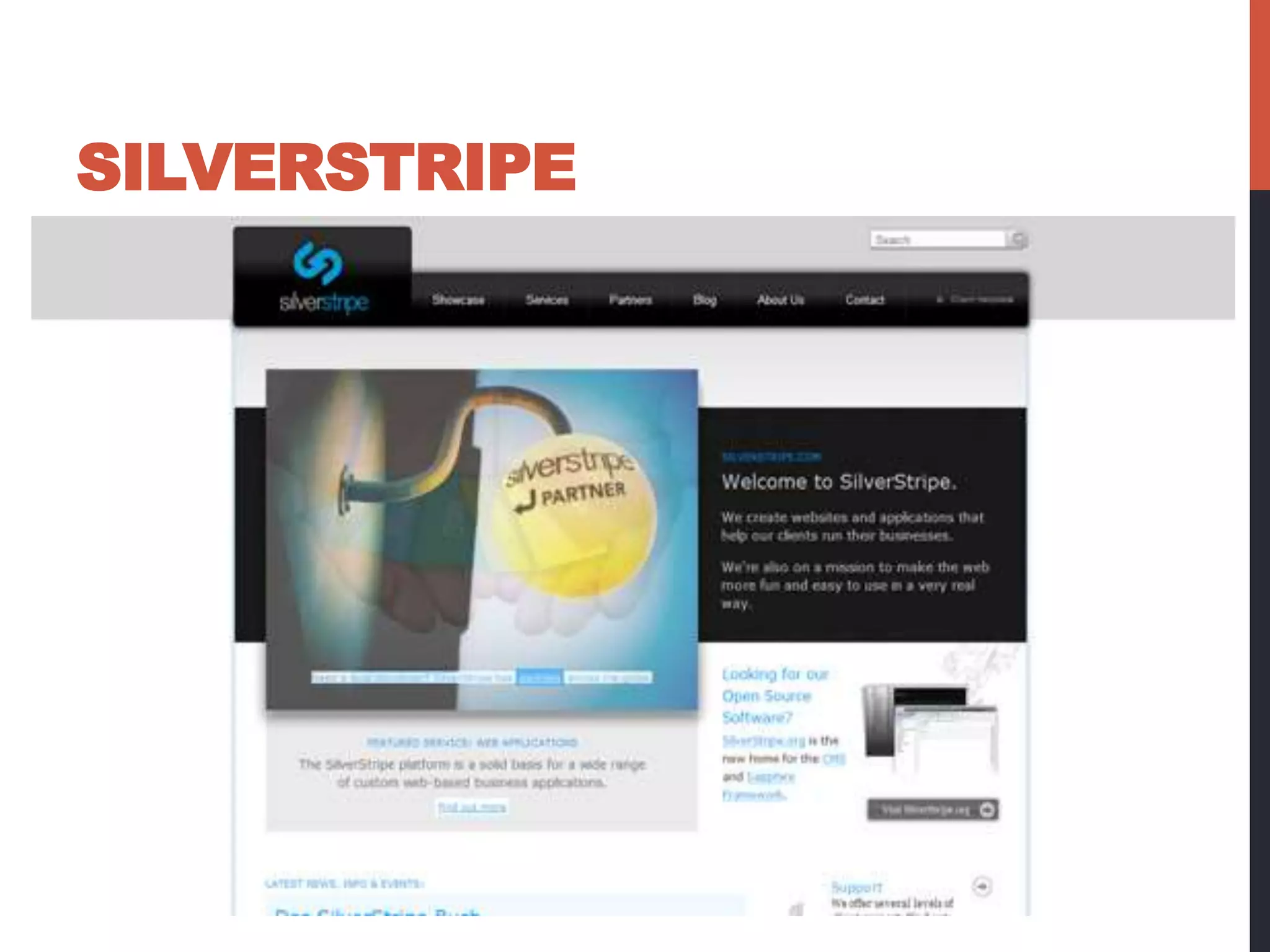 SILVERSTRIPE 
 