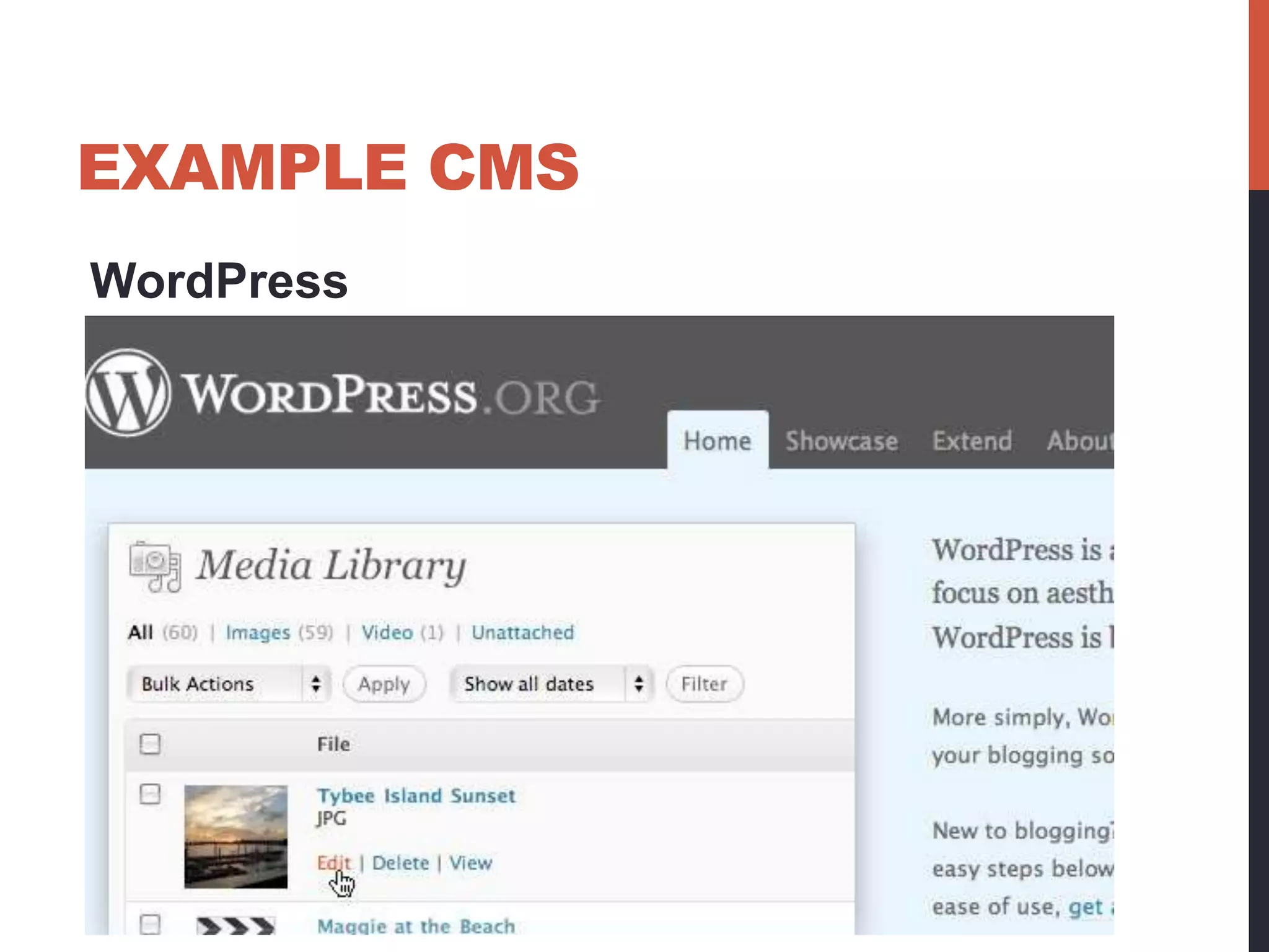 EXAMPLE CMS 
WordPress 
 