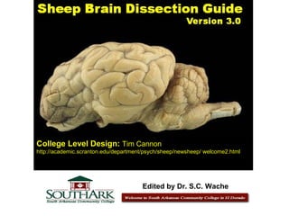College Level Design: Tim Cannon
http://academic.scranton.edu/department/psych/sheep/newsheep/ welcome2.html
Edited by Dr. S.C. Wache
 