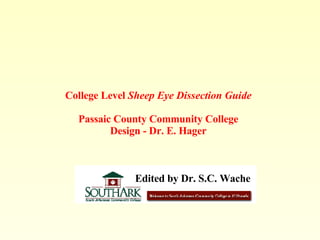 College Level  Sheep Eye Dissection Guide Passaic County Community College Design - Dr. E. Hager Edited by Dr. S.C. Wache 
