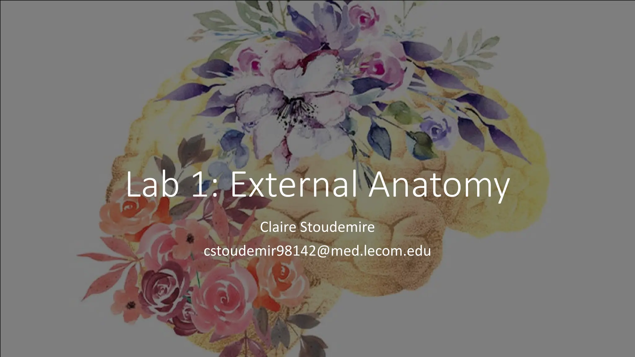 Lab 1 intro brain anatomy presentation.pdf