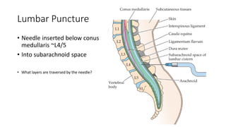 Lab 1 intro brain anatomy presentation.pdf