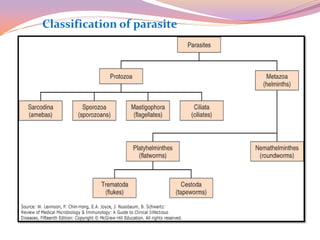 lab_1introduction_and_diagnosis_of_parasite.pdf