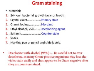 Comprehensive Guide to Bacterial Staining Techniques and Gram Staining ...