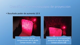 • Resultado poder de aumento 10 X
Proyección de los
componentes del té verde.
Campo oscuro 10X
Proyección de componentes
presente en agua del grifo.
Campo oscuro 10X
 