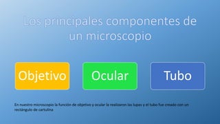 Objetivo Ocular Tubo
En nuestro microscopio la función de objetivo y ocular la realizaron las lupas y el tubo fue creado con un
rectángulo de cartulina
 