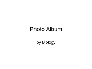 Photo Album
by Biology
 