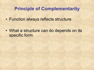 Lab 1 the human body | PPT | Biological Sciences | Science