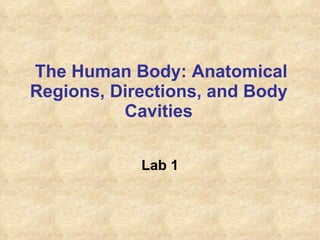 The Human Body: Anatomical Regions, Directions, and Body Cavities Lab 1 