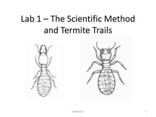 Lab 1 – The Scientific Method 
and Termite Trails 
#NSB2014 1 
 
