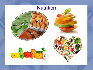 Nutrition
 