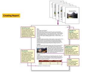 Creating Report  