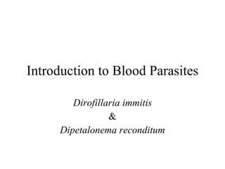 Introduction to Blood Parasites Dirofillaria immitis & Dipetalonema reconditum 