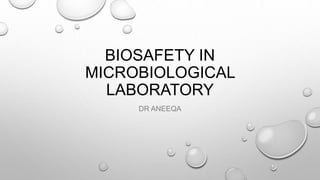 BIOSAFETY IN
MICROBIOLOGICAL
LABORATORY
DR ANEEQA
 