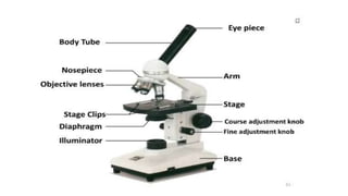 GBSN - Microbiology (Lab 2) Compound Microscope