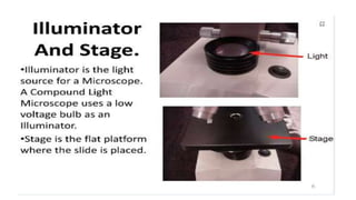 GBSN - Microbiology (Lab 2) Compound Microscope