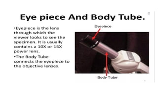 DPT - Microbiology - II  (Compound Microscope)