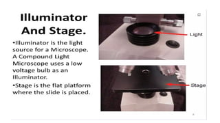 DPT - Microbiology - II  (Compound Microscope)