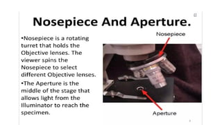 DPT - Microbiology - II  (Compound Microscope)