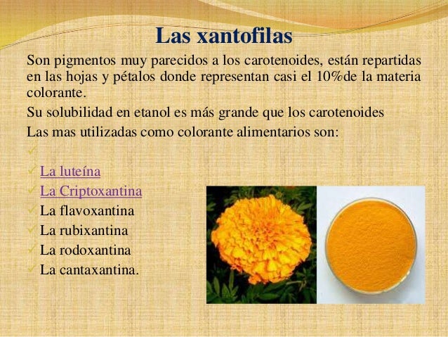 Lab 2 pigmentos vegetales