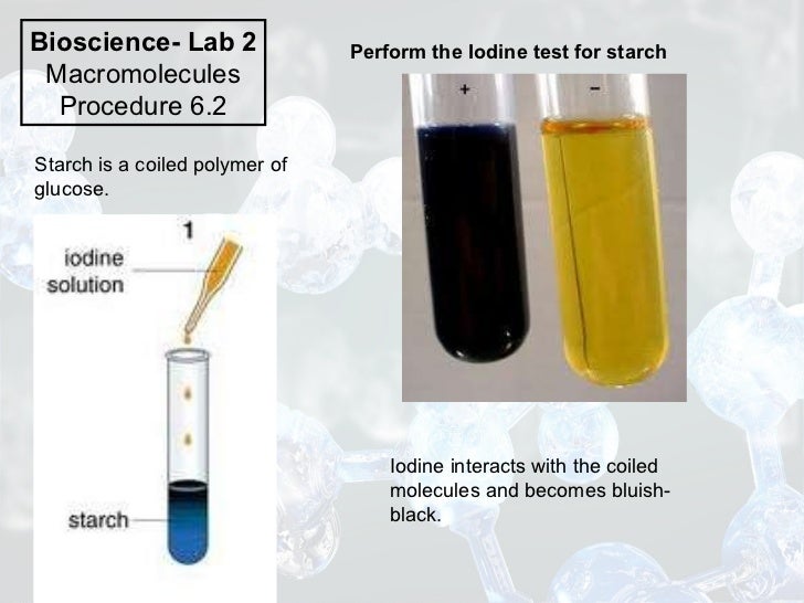 Resultado de imagen para starch test procedure