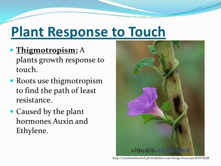 Lab2powerpoint (1)