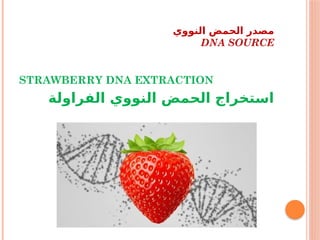 ‫النووي‬ ‫الحمض‬ ‫مصدر‬
DNA SOURCE
STRAWBERRY DNA EXTRACTION
‫الفراولة‬ ‫النووي‬ ‫الحمض‬ ‫استخراج‬
 