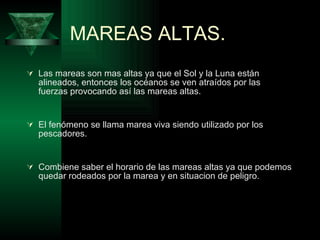 MAREAS ALTAS. Las mareas son mas altas ya que el Sol y la Luna están alineados, entonces los océanos se ven atraídos por las fuerzas provocando así las mareas altas. El fenómeno se llama marea viva siendo utilizado por los pescadores. Combiene saber el horario de las mareas altas ya que podemos quedar rodeados por la marea y en situacion de peligro.  