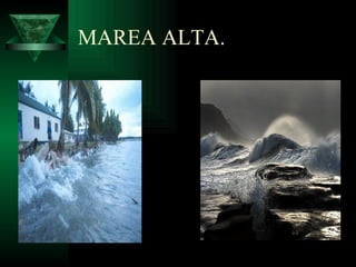 MAREA ALTA. 