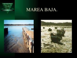 MAREA BAJA. 