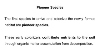 The first species to arrive and colonize the newly formed
habitat are pioneer species.
These early colonizers contribute nutrients to the soil
through organic matter accumulation from decomposition.
Pioneer Species