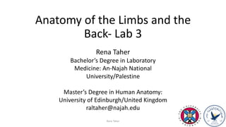 Anatomy of the Limbs and the
Back- Lab 3
Rena Taher
Bachelor’s Degree in Laboratory
Medicine: An-Najah National
University/Palestine
Master’s Degree in Human Anatomy:
University of Edinburgh/United Kingdom
raltaher@najah.edu
Rena Taher
 