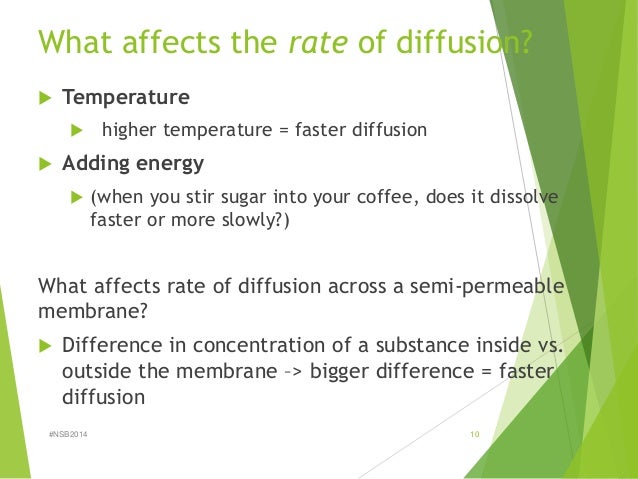 Lab 3 diffusion and osmosis fall 2014