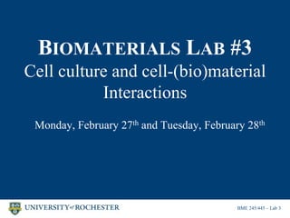 BIOMATERIALS LAB #3
Cell culture and cell-(bio)material
Interactions
Monday, February 27th and Tuesday, February 28th
BME 245/445 – Lab 3
 
