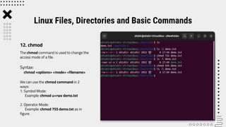 Lab 3 -Linux Files, Directories and Basic Commands.pptx | Operating ...