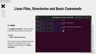 Lab 3 -Linux Files, Directories and Basic Commands.pptx | Operating ...