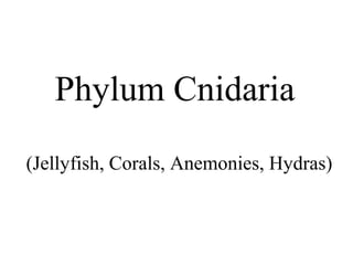 Phylum Cnidaria
(Jellyfish, Corals, Anemonies, Hydras)
 