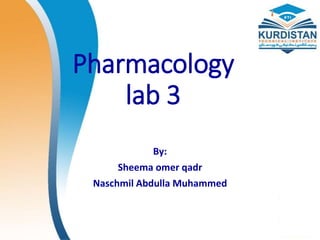 Pharmacology
lab 3
By:
Sheema omer qadr
Naschmil Abdulla Muhammed
 