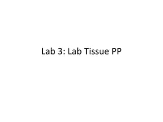 Lab 3: Lab Tissue PP
 
