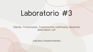 Laboratorio #3
Giardia, Trichomonas, Trypanosoma, Leishmania, Hexamita
Balantidium coli
José Díaz y Cheyenis Montes
 