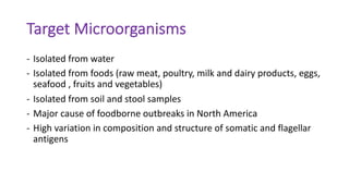 Target Microorganisms
- Isolated from water
- Isolated from foods (raw meat, poultry, milk and dairy products, eggs,
seafood , fruits and vegetables)
- Isolated from soil and stool samples
- Major cause of foodborne outbreaks in North America
- High variation in composition and structure of somatic and flagellar
antigens
 