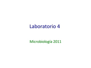 Laboratorio 4 Microbiología 2011 