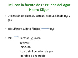 Rel. con la fuente de C: Prueba del Agar Hierro Kliger Utilización de glucosa, lactosa, producción de H 2 S y gas. Tiosulfato y sulfato férrico  H 2 S MO  lactosa+ glucosa glucosa ninguno con o sin liberación de gas aerobio o anaerobio 