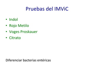 Pruebas del IMViC Indol Rojo Metilo Voges Proskauer Citrato Diferenciar bacterias entéricas 
