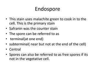 Endospore
• This stain uses malachite green to cook in to the
  cell. This is the primary stain
• Safranin was the counter stain
• The spore can be referred to as
• terminal(at one end)
• subterminal( near but not at the end of the cell)
• Central
• Spores can also be referred to as free spores if its
  not in the vegetative cell.
 