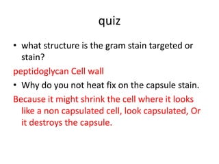 quiz
• what structure is the gram stain targeted or
  stain?
peptidoglycan Cell wall
• Why do you not heat fix on the capsule stain.
Because it might shrink the cell where it looks
  like a non capsulated cell, look capsulated, Or
  it destroys the capsule.
 