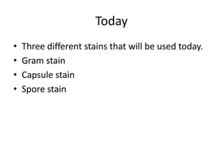 Today
•   Three different stains that will be used today.
•   Gram stain
•   Capsule stain
•   Spore stain
 
