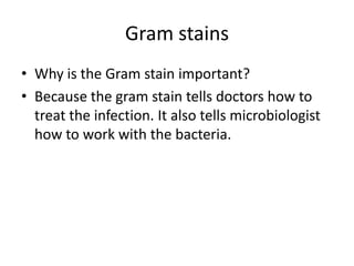 Gram stains
• Why is the Gram stain important?
• Because the gram stain tells doctors how to
  treat the infection. It also tells microbiologist
  how to work with the bacteria.
 