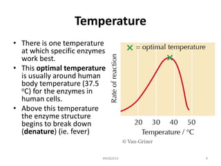 Lab 4 enzymes and the catalase lab fall 2014 | PPTX